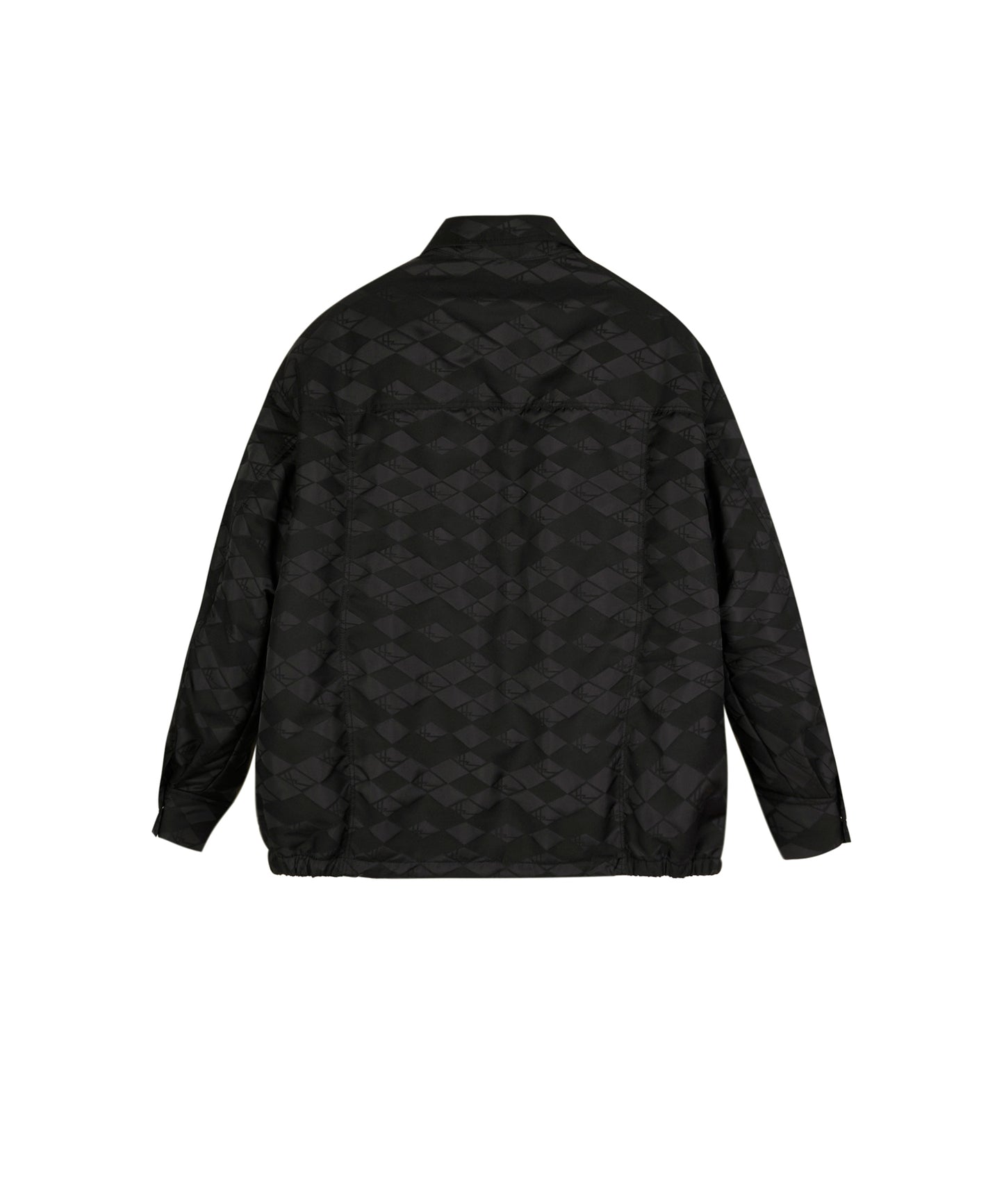 [CROQUIS]West Lake-Inspired Jacquard Down Jacket