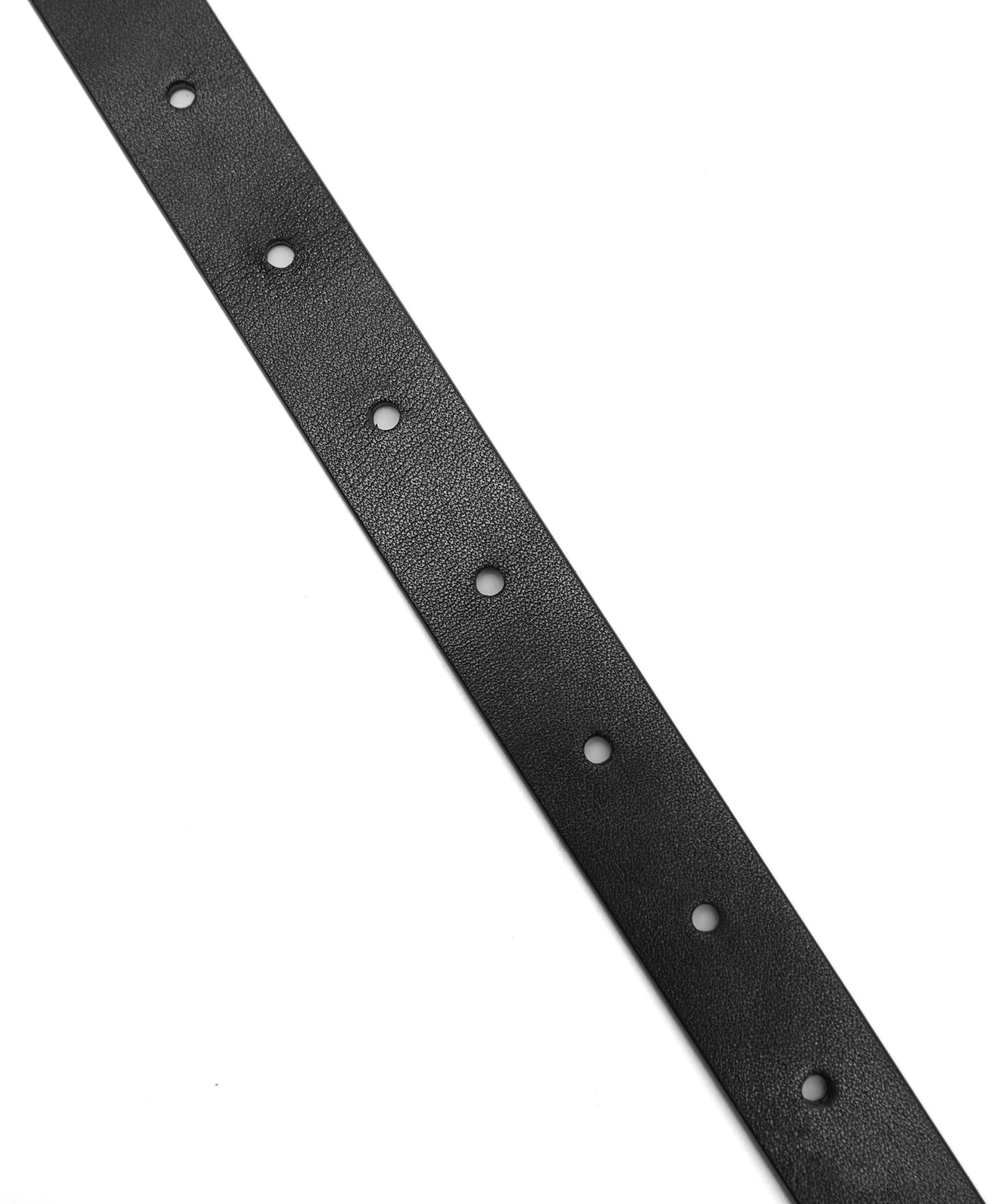 Timeless Versatility Belt