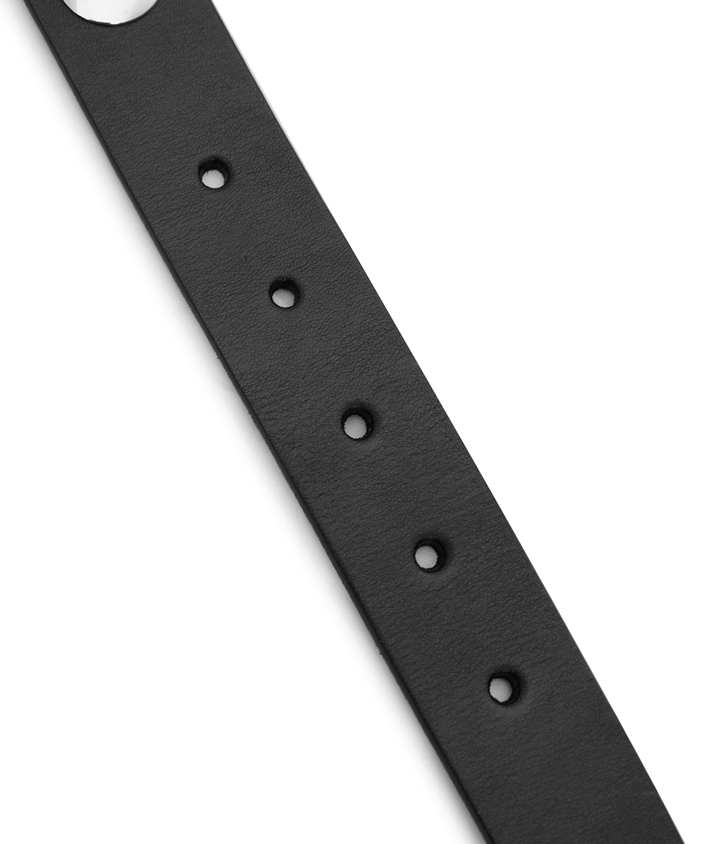 Sophisticated Studded leather Belt